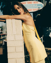 Load image into Gallery viewer, The Wolf Gang Irida Vest Dress