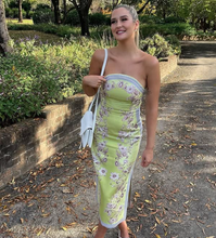 Load image into Gallery viewer, Alemais Marlow Bodice Dress