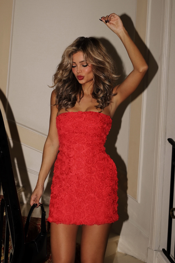 rosaline mini dress Runaway Rosaline Mini (Red) – Wardrobe Collective NZ